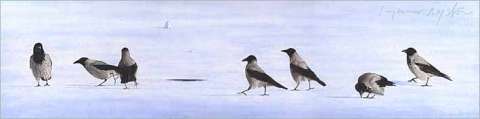 Sju kråkor på isen/Seven Crows On the Ice