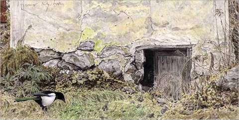 Sen höst/Late Autumn