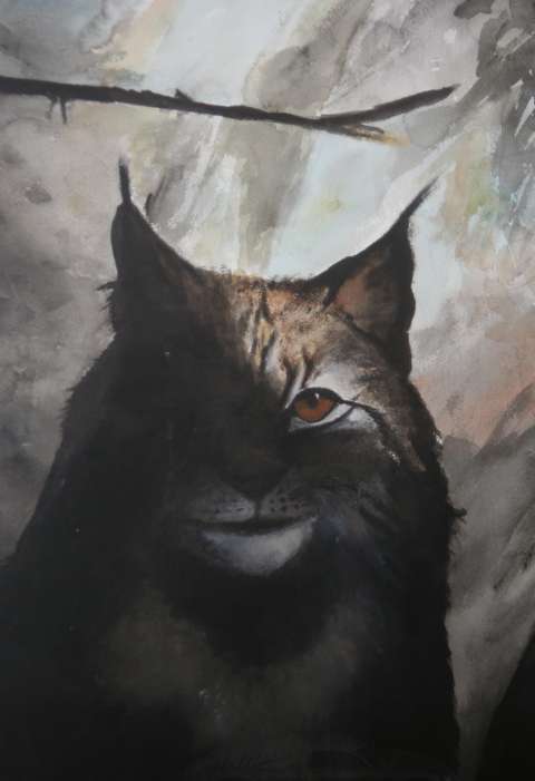 solkatt