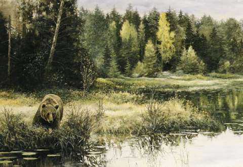 Brunbjörn, olja, 100x85 cm