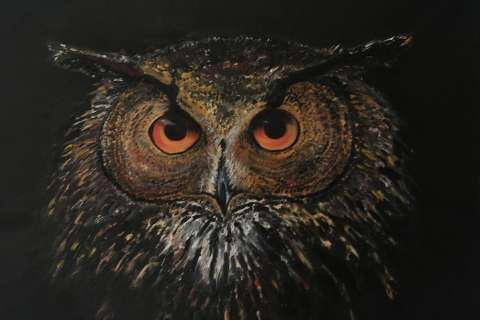 Natt Blick (Berguv)