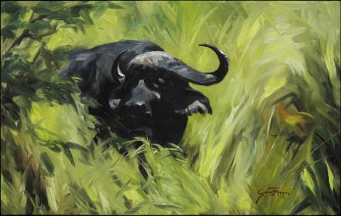 Buffalo