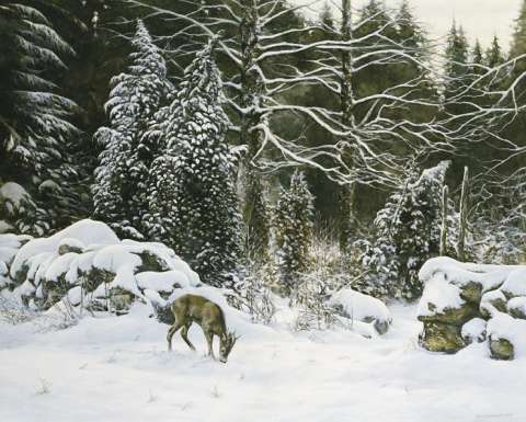 Rådjur, olja, 120x90 cm