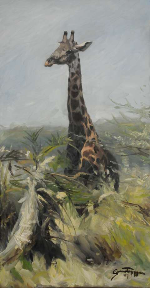 Giraff