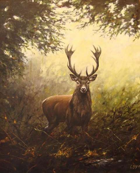 Kronhjort -2011 59x72