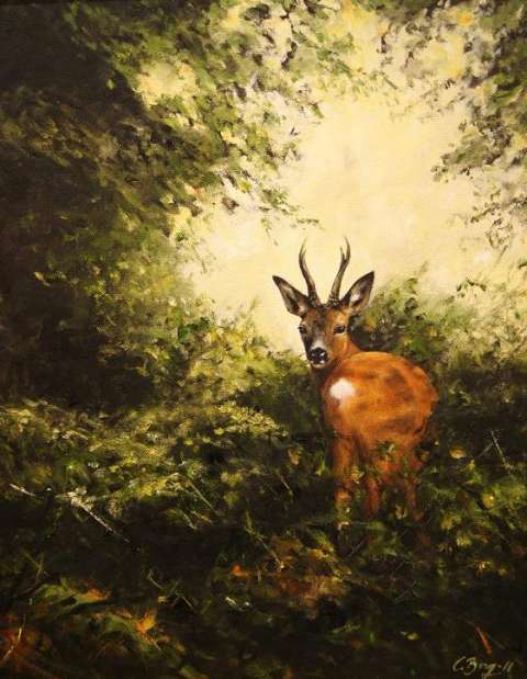 Råbock i snårskog -2011, 46x55 