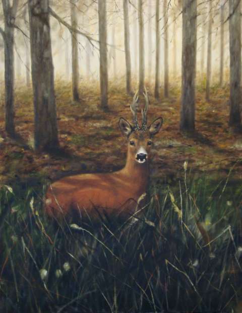 Råbock -2009, 59x72