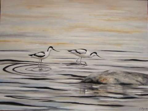 Skärfläckor -2011, 80x60