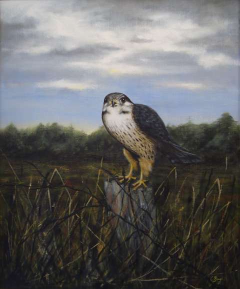 Stenfalk -2001, 54x65