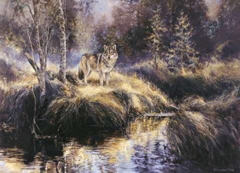 Varg i höstlandskap, olja, 120x90 cm