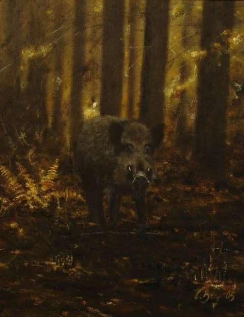 Vildsvin -2005, 30x40