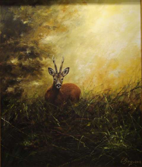 Augustibock -2012, 46x55